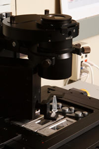 Cut samples are extracted by cap touch isolation.