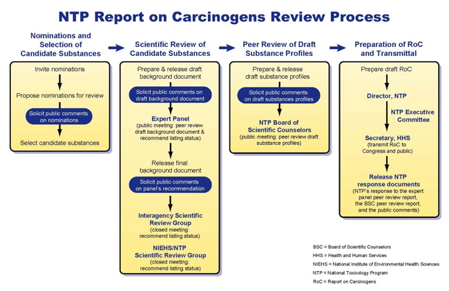 Schematic representation of Report on Carcinogens Process