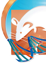 Mouse-DNA graphic