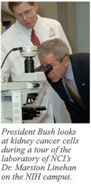 President Bush looks at kidney cancer cells during a tour of the laboratory of NCI's  Dr. Marston Linehan on the NIH campus.