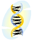 NIH Guidelines for Research Involving Recombinant DNA Molecules