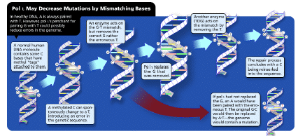 niehsnewsfig_chart