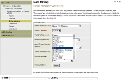 Data Mining Features