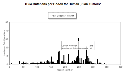 Codon Distribution Display Table