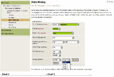 Display Option Selection