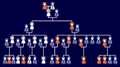 Family tree showing Nellie and her relatives. This tree or "pedigree" shows which individuals in the family inherited the altered VHL gene. All the individuals who inherited the VHL gene are shown in white.