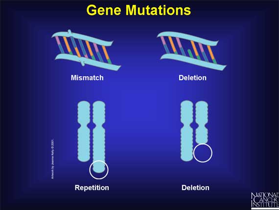 Gene Mutations