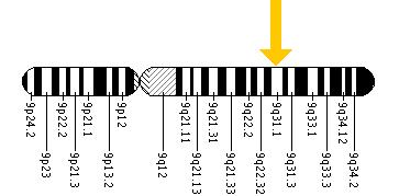 The ABCA1 gene is located on the long (q) arm of chromosome 9 at position 31.1.