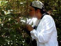 On a class field trip, Egda and her students collect water samples from plants that live in the dry forest of Guanica, Puerto Rico, to study the microbial life present within.