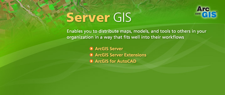 Server GIS - Enables you to distribute maps, models, and tools to others in your organization in a way that fits well into their workflows.
