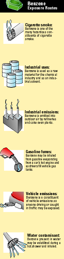 Benzene Exposure Routes