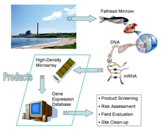 Flow diagram of microarray system