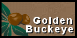 GoldenBuckeye.com
