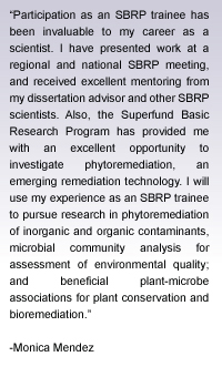 Quote from Monica Mendez - Participation as an SBRP trainee has been invaluable to my career as a scientist.  I have presented work at a regional and national SBRP meeting, and received excellent mentoring from my dissertation advisor and other SBRP scientists.  Also, the Superfund Basic Research Program has provided me with an excellent opportunity to investigate pyhtoremediation, an emerging remediation technology.  I will use my experience as an SBRP trainee to pursue research in phytoremediation of inorganic and organic contaminants, microbial community analysis for assessment of environmental quality; and beneficial plant-microbe associations for plant conservation and bioremediation.