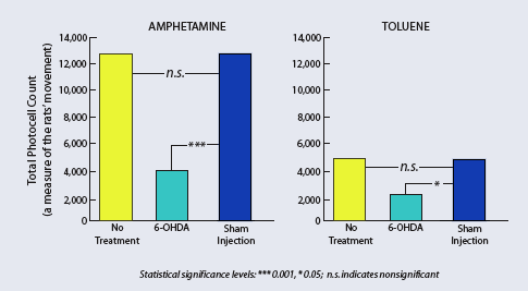 Neurotoxin Test Shows a Role for Dopamine in Both Toluene- and Amphetamine-Induced Behaviors