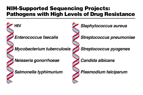 NIH-Supported Sequencing Projects: Pathogens with High Levels of Drug Resistance