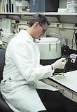 Researcher pipetting sample onto elisa plate