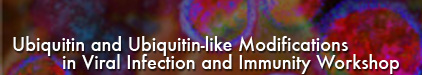 Ubiquitin and Ubiquitin-like Modifications in Viral Infection and Immunity Workshop