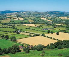 Photograph of a rural landscape