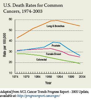 A line graph indicating the death rates for the four most-common types of cancer between 1974 and 2003 in the United States. The death rate for lung and bronchus cancers rose from 1974 to the early 1990s, but then fell slightly. The death rate for prostate cancer rose gradually from 1974 to the mid-1980s before a sharp increase in the late 1980s, coincident with PSA screening, with a falling trend that followed through 2003. Female breast cancer mortality held relatively steady from 1974 until the early 1990s, but has fallen more steeply since then. And colorectal cancer mortality started falling in the mid-1970s and has continued to do so.
