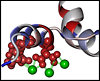 The protein’s metafunctional signature predicts amino acids with mineral interactions