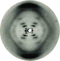Rosalind Franklin's original X-ray diffraction photo revealed the physical structure of DNA.