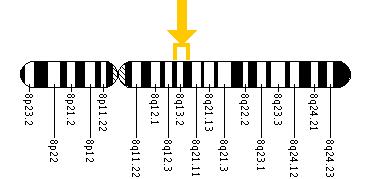 The TTPA gene is located on the long (q) arm of chromosome 8 between positions 13.1 and 13.3.