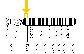 The OCA2 gene is located on the long (q) arm of chromosome 15 between positions 11.2 and 12.