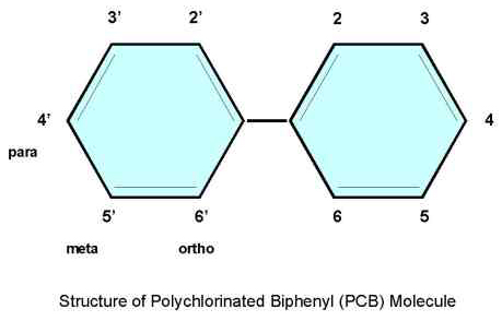 diagram of PCB molecule