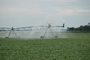 Irrigation in Missouri River Bottoms, Harrison County