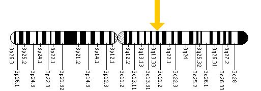 The CNBP gene is located on the long (q) arm of chromosome 3 at position 21.