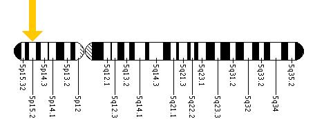 The CTNND2 gene is located on the short (p) arm of chromosome 5 at position 15.2.
