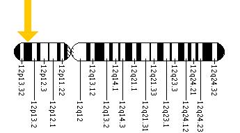 The CACNA1C gene is located on the short (p) arm of chromosome 12 at position 13.3.