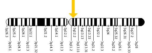 The CPOX gene is located on the long (q) arm of chromosome 3 at position 12.