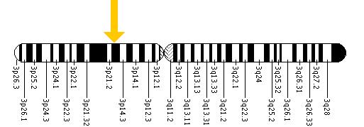 The COL7A1 gene is located on the short (p) arm of chromosome 3 at position 21.1.