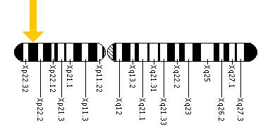 The GPR143 gene is located on the short (p) arm of the X chromosome at position 22.3.