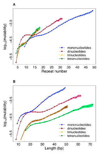 two multi-colored graphs