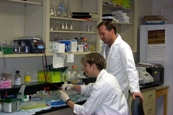 Photo of student and faculty working in a lab