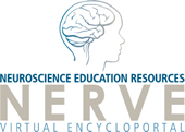Neuroscience Education Resources Virtual Encycloportal logo