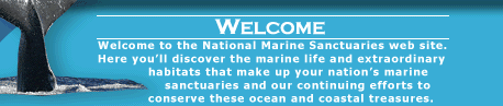 Welcome to the National Marine Sanctuaries web site. Here you'll discover the marine life and extraordinary habitats that make up your nation's marine sanctuaries and our continuing efforts to conserve these ocean and coastal treasures.