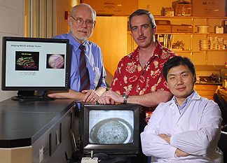 Bio-imaging researchers