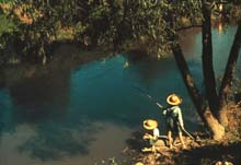 Boys Fishing in a Bayou