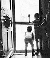 Child looking out through front screen door