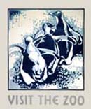 Visit the Zoo