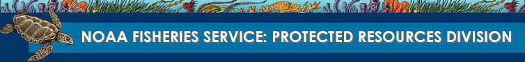 NOAA Fisheries Service - Protected Resources Division Banner