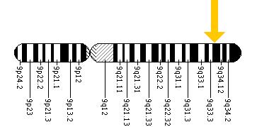 The LMX1B gene is located on the long (q) arm of chromosome 9 at position 34.