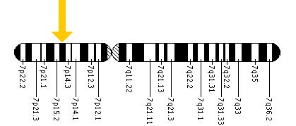 The DFNA5 gene is located on the short (p) arm of chromosome 7 at position 15.