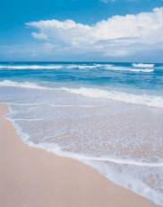 Fotografía de la arena, el océano y el cielo
