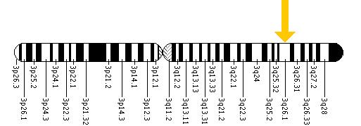 The IFT80 gene is located on the long (q) arm of chromosome 3 at position 26.1.