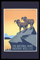 The National Parks Preserve Wildlife